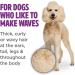 TropiClean PerfectFur Dog Shampoo 16 oz - For All Breeds & Coat Types - Curly & Wavy - Natural Ingredients - Made in USA - Buy Online on GoSupps.com