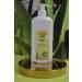 Aloe Vera Gold Propolis Cream Value Pack - 500 ml | Hydrating Skin Care for All Skin Types | International Shipping Available - Buy Online on GoSupps.com