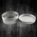 Veemoon 250ml Travel Jar Cream Jars with Lids - Best Cosmetic Containers for International Shipping - Buy Online on GoSupps.com