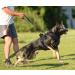 Shop POPOT No Pull Dog Harness - Front Reflective Pet Vest for Training & Walking - Black Large - Buy Online on GoSupps.com