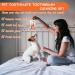 Dog Toothbrush & Toothpaste Set - Tartar Control & Dental Care for Dogs | Beef Flavor | Protect Your Dog's Teeth - Buy Online on GoSupps.com