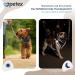 Petex Dog Harness for Small & Medium Dogs - TUV Tested Made in Europe | Reflective & Breathable Air Mesh Technology - Shop Now! - Buy Online on GoSupps.com