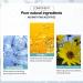 Dark Spot Corrector for Face - 3 Pack Freckle and Discoloration Correcting Serum - Buy Online on GoSupps.com