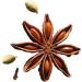 Four O'Clock Organic Fairtrade Black Tea Masala Chai Non-Gmo Kosher Gluten-Free 15 Count Pyramid 45g - Buy Online on GoSupps.com