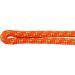 QIQU 7mm Nylon Climbing Accessory Cord Rope - 50ft Length - Outdoor Essential - Buy Online on GoSupps.com