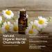 Organic Roman Chamomile Essential Oil 10ml - Sleep Aid & Skin Care - Gya Labs - Buy Online on GoSupps.com