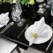 LEKOCH 100 PCs Premium High-Quality White Napkins | Disposable Airlaid 40x40 Wedding Napkins - Ideal for Events & Parties - Buy Online on GoSupps.com