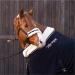 Marengos Modern Ros 200cm Panic Hooks - 100% Polyester Braided Horse Knit with Rose Gold Fittings | International Shipping Available - Buy Online on GoSupps.com