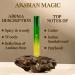 Buy Natural Organic Perfume Oil 'Arabian Magic' - Vegan Long Lasting Chemical-Free Patchouli & Sandalwood - 10ml - Buy Online on GoSupps.com
