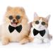 Adjustable Pet Bow Tie & Cute Sunglasses Set for Cats and Dogs - Black White - Buy Online on GoSupps.com