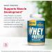 Jarrow Formulas Unflavored Whey Protein 2 lbs | High-Quality Protein Supplement - Buy Online on GoSupps.com