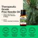 Kukka Pine Essential Oil for Diffuser - 100% Natural Pine Needle Oil for Candle Making - 10ml (Pack of 1) - Buy Online on GoSupps.com
