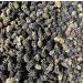 Dark Mulberries Loose - Sweet Nutrient-Rich Superfood Snack Siah Toot Mulberries Black Mulberries Dark Mulberries Loose in Bulk Perfectly Selected for Optimal Quality & Condition (500g)