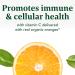 Buy MegaFood Ultra C-400 - 60 Tablets | High Potency Vitamin C for Immune Support - Buy Online on GoSupps.com