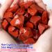 XIANNVXI Red Jasper Crystals 0.45lb - Natural Rough Stones for Reiki Healing and Tumbling - Bulk Gemstones for Cabbing and Fountain Rocks - Buy Online on GoSupps.com