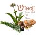 Buy Holy Heavenly Anointing Oil - Premium International Shipping | Heal & Bless Your Spirit - Buy Online on GoSupps.com