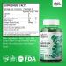 Wild Organic Ginkgo Biloba Gummies - Brain & Mental Support Supplement for Mood, Focus, Energy & Blood Circulation - Vegan Non-GMO - 60 Chews - Buy Online on GoSupps.com