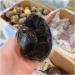 Crystal 1pcs 900-1.1kg Natural Curvature of The Furnishing Articles Turtle Grain s Ball Septarian Nodule Crystal Quartz - Buy Online on GoSupps.com