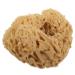 Healeved Honeycomb Bath Ball Bath Exfoliating Tool Bathing Supplies Bath Sponge Shower Accessory Back Scrubber Bathing Scrubber Portable Bath Ball Body Wash Sponge Exfoliating Shower Sponge