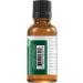 Viva Doria 100% Pure Eucalyptus Globulus Essential Oil 1 Fl Oz - Undiluted & Food Grade for Aromatherapy & Wellness - Buy Online on GoSupps.com