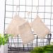6 Pack Natural Sisal Fiber Soap Exfoliating Bag Set - Organic Soap Savers for Shower, Bath - Foaming and Drying - Bar Soap Saver - Buy Online on GoSupps.com