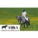 AMKA Double Jointed Argentan Full Cheek Snaffle Bit - 16 mm Gag Bit for Optimal Horse Control | International Shipping Available - Buy Online on GoSupps.com