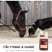 Buy Supravit Devils Claw Horse 1000ml | Support Musculoskeletal Health Naturally | International Shipping - Buy Online on GoSupps.com