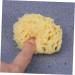 FRCOLOR Sponges Bath Shower Sponge Algae Sponge Bath Towel Adult Baby - Buy Online on GoSupps.com