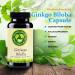Wholistic Botanicals Ginkgo Biloba Capsule Memory Supplement for Brain Energy Supplement 100 ct - Buy Online on GoSupps.com