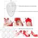 Fiyuer 30-Piece Heel Cushion Inserts - Gel Sponge Pads for Comfortable Footwear | Forefoot Shoe Support for Men & Women - Buy Online on GoSupps.com