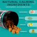 Calming Treats For Cat & Dog Pets Purest Soft Calming Chews for Anxiety Stress Relief Delicious & Healthy Snack for Cats- Chicken Flavour(200g 200 counts) - Buy Online on GoSupps.com