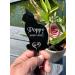 Personalised Cat Memorial Plaques Gift Pet Dog Rabbit Garden Sign Grave Marker Kitten - Buy Online on GoSupps.com