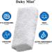 Shop 2 Splash-Less Bleach Cleaners | Clean Linen & Daley Mint - 40oz Each for Laundry & Home Cleaning (80oz Total - Buy Online on GoSupps.com