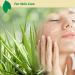 Ecla Skin Care 100% Pure Aloe Vera Gel (8 oz / 240 ml) | For Face, Body & Hair | Organic, Cold-Pressed, Alcohol-Free - Buy Online on GoSupps.com