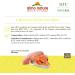 Almo Nature HFC Natural Wet Cat Food - Chicken & Salmon 12-Pack (280g) - Healthy & Gourmet Cat Meals - Buy Online on GoSupps.com