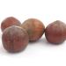 Buy TALI Giant Hazelnuts in Shell - 1 kg | Premium Quality International Shipping - Buy Online on GoSupps.com