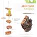 Cork Chew Rope for Budgies | Best Climbing & Gnawing Toy | Bird Accessories Online - Buy Online on GoSupps.com