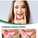 Mouth Ulcer Treatment Spray Mouth Ulcer Spray Mouth Ulcer Treatment for Adults Canker Sore Treatment Herbal Mouth Spray Breath Spray for Bad Breath Canker Relief Spray Mouth Freshener Spray 20ml - Buy Online on GoSupps.com