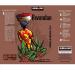 RKBROTHERS Kirkland Signature Rwandan Whole Bean Coffee 907g Pack of 2 - Buy Online on GoSupps.com