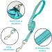 UVTQSSP Lightweight Dog Harness for Small Dogs - Padded XS Puppy Harness with Leash - Light Blue - Buy Online on GoSupps.com
