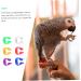 BESPORTBLE 400 Pcs Pigeon Foot Ring Chicken Saddle Birds Bird Training Tool Bird Clip on Leg Ring Pet Plastic 1X0.5cmx2pcs Colorfulx2pcs - Buy Online on GoSupps.com