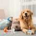 Nizirioo Plush Dog Toys - Birthday Cake & Bone Toys for Puppies | Soft & Safe Dog Birthday Gifts - Buy Online on GoSupps.com