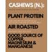Toasted Coconut Cashews by Karma Nuts | Vegan, Gluten-Free, Low Carb Snack | 1.5 oz (12 Packs) - Buy Online on GoSupps.com