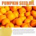 Pumpkin Seed Oil Multi-Purpose for Hair Face and Body Moisturizing Essential Oil Improves Hair Shine for Dry and Damaged Hair Hydrates and Nourishes Skin Reduces - Buy Online on GoSupps.com