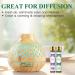 Aoruilia 6 x 10ml Floral Essential Oils Set 100% Pure Essential Oil for Diffuser for Home Fragrance Aromatherapy Perfume Candle Making - Rose Lavender Jasmine Lily of The Valley Peony Violet Floral 60 ml (Pack of 1) - Buy Online on GoSupps.com