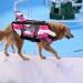 JOYPAWS Dog Life Jacket | Fashion Pet Swimming Vest | Adjustable Handle | M Medium Camouflage Pink Shark - Buy Online on GoSupps.com