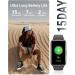 Amzhero Health Fitness Tracker with 24/7 Heart Rate Blood Oxygen Blood Pressure Sleep Tracker 5ATM Waterproof Activity Trackers with Step Tracker - S & L - Spaceblack - Buy Online on GoSupps.com