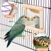 Bird Mirror Swing Toy for Small Parrots - Hanging Play Mirror for Greys, Parakeets, Cockatoos, Cockatiels, Conures, Lovebirds, Canaries, Macaws and African Parrots - Buy Online on GoSupps.com