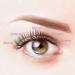 120 Clusters C Curl DIY Eyelash Extension Premade Volume Fans by MAEXUS | Individual Lashes - 0.07C 8mm-16mm MIX BP02BK20D_A - Buy Online on GoSupps.com