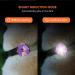 LaRoo Safety LED-Flashing Light for Dogs Cats LED-Light Pendant Keyring Clip on Dog Collar Charms Blinker Light Waterproof Safety Light for Walking the Dog and Outdoor Sports rechargable Purple-1 - Buy Online on GoSupps.com